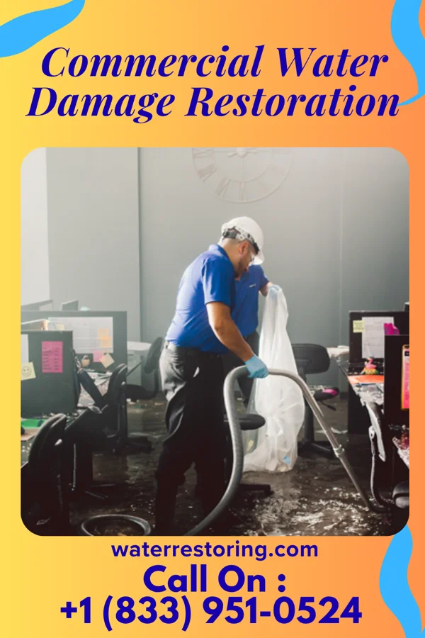 Commercial Water Damage Restoration in Riggins, ID